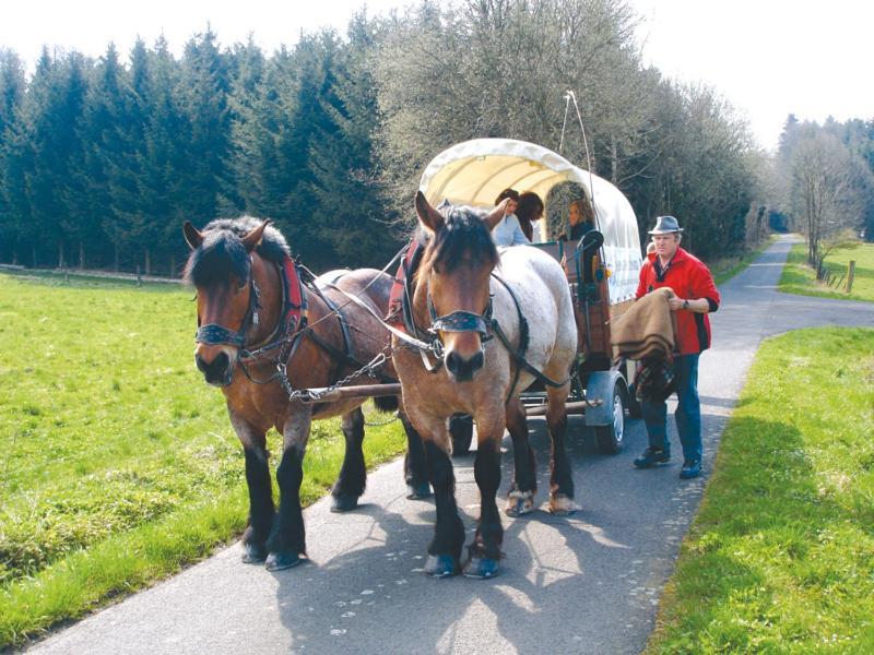 朗祖姆埃德尔兰德酒店 Oberkalbach 外观 照片